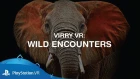 Virry: Wild Encounters | Launch Trailer | PlayStation VR
