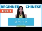 Learn Chinese | Beginner Chinese Lesson 2: What Is Your Name in Chinese. Ask Name in Chinese | 2.1