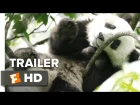 Born in China Official 'Earth Day' Trailer (2017) - Disneynature Documentary HD