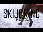 Скиджоринг с хаски и лошадьми / Skijoring with husky dogs and horses