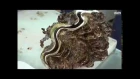 Giant clam . Japan