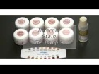 Алек Аронин - Техника нанесения внутренних красителей (Internal stain) керамики Noritake™ CZR