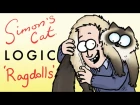 Things You Didn't Know About Ragdolls! - Simon's Cat Breeds