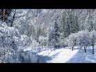 Прогулка по зиме под музыку Франсиса Лея (Francis Lai)