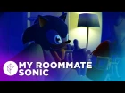 Sonic Dreams Collection: My Roommate Sonic!