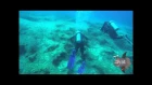 Kerynia Wreck (By Sunfish Divers)