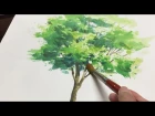 [ Eng sub ]  Watercolor Tree Painting easy tutorial #1