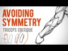 Avoiding Symmetry when Drawing Triceps - Anatomy Critique
