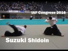Suzuki Toshio Shidoin at the 12th International Aikido Federation Congress Demonstration