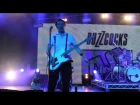 Buzzcocks - live at Golden Plains 2016