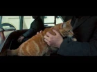 Exclusive new clip from A Street Cat Named Bob