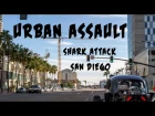 URBAN ASSAULT: San Diego Shark Attack