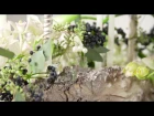 A White Christmas design by David Ragg | Flower Factor How to Make | Powered by LZ Orchidee