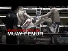 Muay Thai Fighting Styles Part 2 - Muay Femur (Technical Fighter)