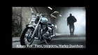 Алина Фея - Риск, скорость, Harley Davidson