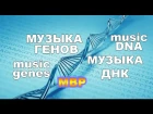 Музыка днк - Как поет человеческий ген MBP (translation mRNA)