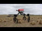 SwagBot autonomous weed spraying demo