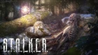 ПОЧТИ STALKER 2. СТАЛКЕР НА CRYENGINE 5