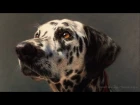 HOW TO DRAW A REALISTIC DALMATIAN WITH PASTEL