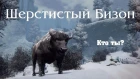 В мире животных Готики (Gothic 3) / Шерстистый бизон