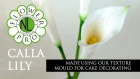 Flower Pro Calla Lily | Cake Decorating Tutorial With Chef Nicholas Lodge