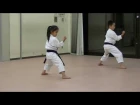 JKA/ Mahiro & Masaki practice Heian shodan-godan and Tekki shodan part 2