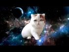 Поющая космическая кошка айм блю | Space cat sing a song eiffel 65 blue as Magic Fly