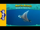 Meet the Animals 10: Manta Ray | Level 2 | By Little Fox