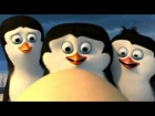 Пингвины Мадагаскара Начало