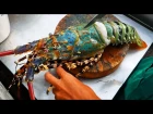 Thailand Street Food - The BIGGEST RAINBOW LOBSTER Cooked with Butter & Cheese