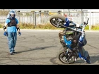 Краш Тест Клетки Stuntex MadDog - Crash Test of Stunt Cage