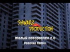 Shwarz Production - Малый повзрослел 2.0