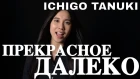 Ichigo Tanuki - Прекрасное Далеко