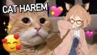 CAT HAREM