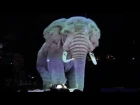 Circus Roncalli, il primo circo dove gli animali sono sostituiti da ologrammi