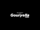 Ferry Corsten presents Gouryella - Neba [Official Music Video]
