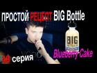 Пиратский самозамес #49 / ПРОСТОЙ РЕЦЕПТ / Big Bottle Blueberry Cake