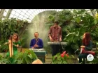 Mama Nature band - Fly Away - Concert in the Greenhouse Tavrichesky garden
