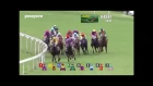 Craziest horse racing DEBUT ever - #6 Pakistan Stars from Last to First!! Hong Kong (2016)
