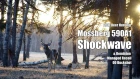 Deer Hunting with Mossberg Shockwave and Remington Low Recoil 00 Buckshot