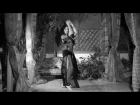 Shahrzad Belly Dance - Dreams of a Dancer