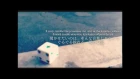 Nekobolo ft. Hatsune Miku — Things I Want You To Hear (きかせたいのは) rus sub