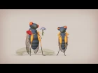 Cicadas: The dormant army beneath your feet - Rose Eveleth