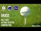 Cinema 4D Tutorial - Create Grass in Octane Render and After Effects