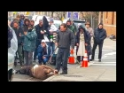 Martin Scorsese filming The Irishman with Robert De Niro in Ridgewood, New York