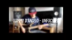 TOMMY D'ANGELO - UNFOCUSED [PLAYTHROUGH]. Ibanez RGDIX6, BIAS FX