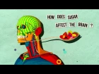 How sugar affects the brain - Nicole Avena