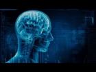 Проблема мозга и сознания (рассказывает нейрофизиолог Константин Анохин)