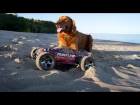 Man's Best Friend | Traxxas Rustler VXL