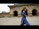 Wu Dang Tai Yi Wu Xing Quan太乙五行拳